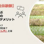 【地方移住体験談】移住者に学ぶ、地方移住後のメリット・デメリット